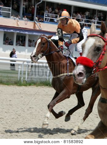Horse racing