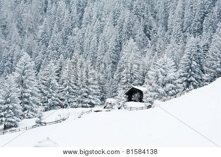 winter scenery