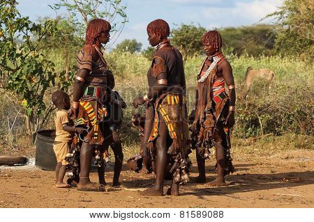Hamer, Ethiopia, Africa