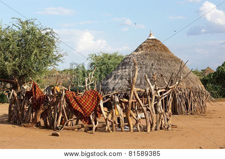 Hamer, Ethiopia, Africa