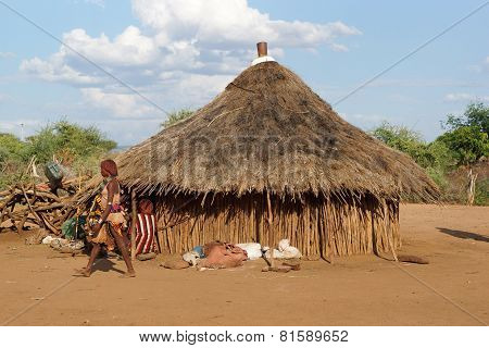 Hamer, Ethiopia, Africa