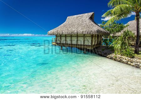 Tropical bungalow and palm tree next to amazing blue lagoon on the island