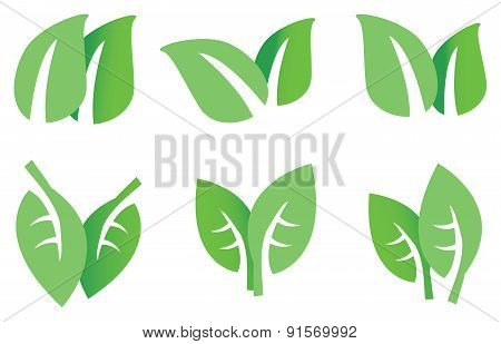 Green Leaves Vector Icon Set