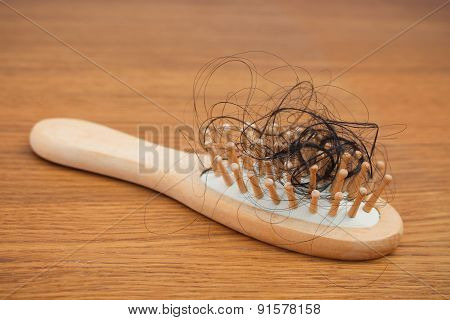 Fallen hair on the comb