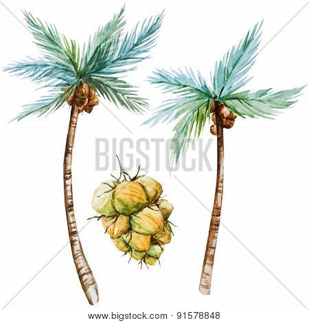 Watercolor palms