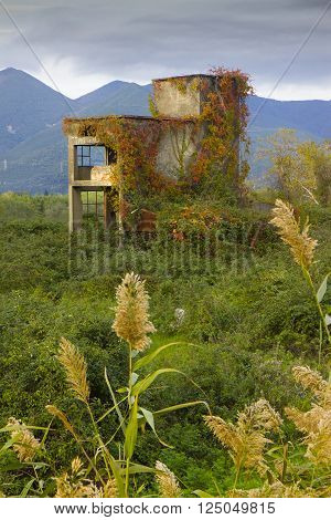 Old abandoned concrete structure overtaken by nature