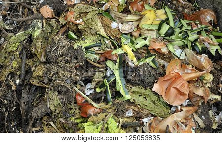Garden compost heap with garden and kitchen food waste for home recycling.