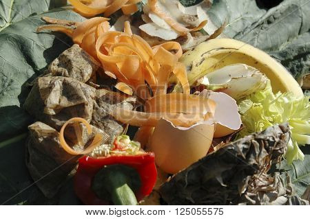 Raw vegetable and fruit Kitchen waste on a garden compost heap for recycling.