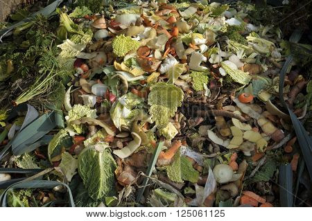 Garden compost heap with kitchen food waste vegetables fruit peel and green refuse.