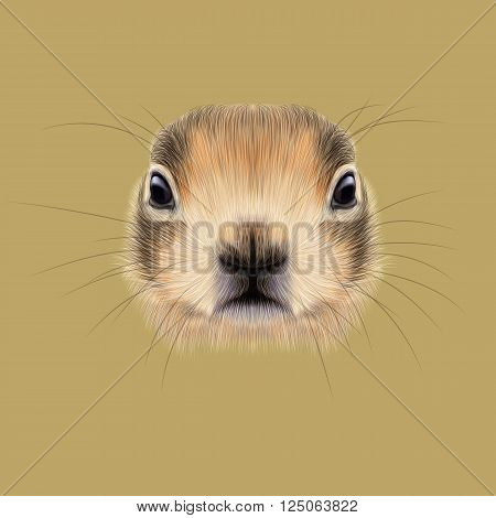 Cute face of meadow Rodentia animal on beige background.