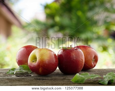close up view of nice fresh apples on color background