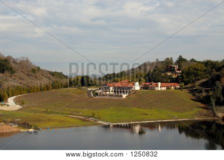 Vingård
