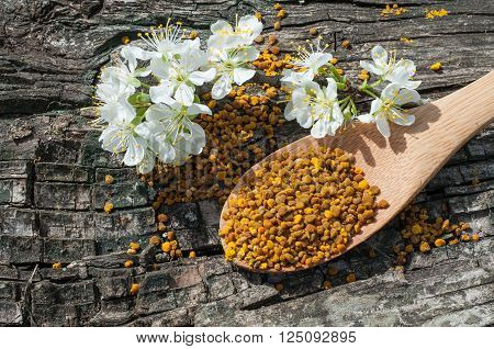 pollen in a wooden spoon with flowers