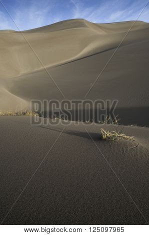 Great Sand Dunes National Park in Southern Colorado