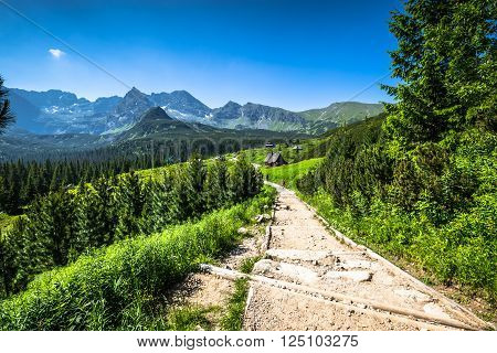 Hala Gasienicowa(Valey Gasienicowa) in Tatra mountains in ZakopanePoland