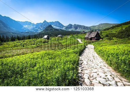 Hala Gasienicowa(Valey Gasienicowa) in Tatra mountains in ZakopanePoland
