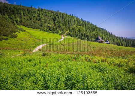 Hala Gasienicowa(Valey Gasienicowa) in Tatra mountains in ZakopanePoland
