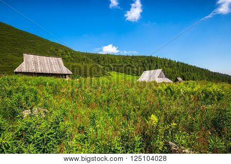 Hala Gasienicowa(Valey Gasienicowa) in Tatra mountains in ZakopanePoland