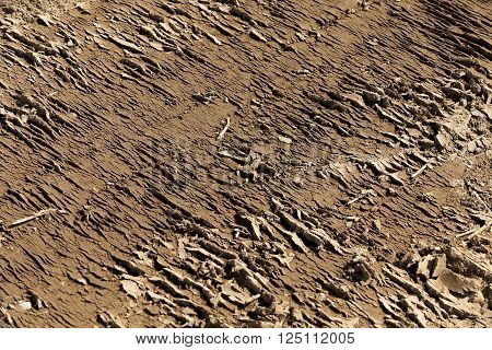 A Tractor Plowed Field Agricultural Land. Spring. Sown Close-up.