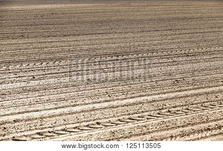 Agricultural Field, Which Was Plowed For Sowing Crops. Spring