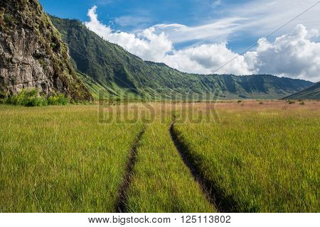 Grassland at Mount Bromo volcano caldera, Java, Indonesia