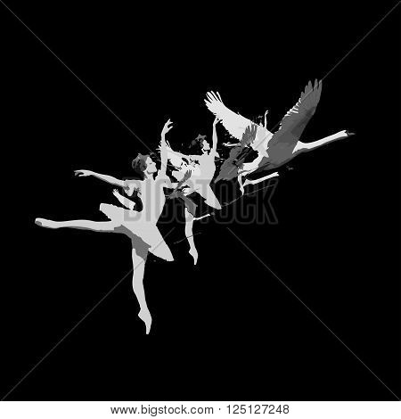 Ballerina turns into a swan. Vector illustration.