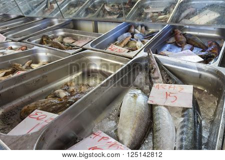 Fresh Fish In The Fish Market - Greece