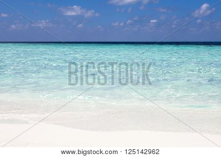 exotic tropical beach with white sand maldives