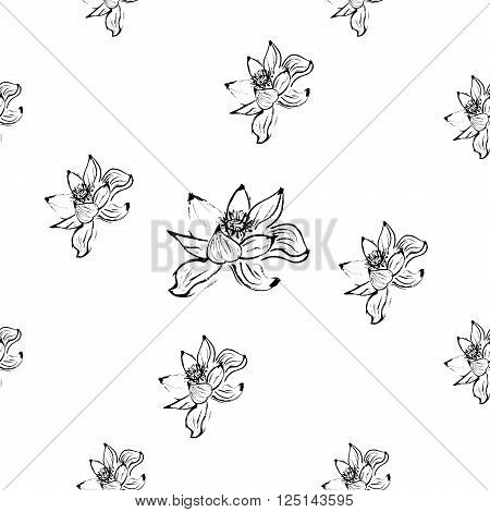 Seamless pattern with lotus flowers. White background. Gray scale. Stock vector.