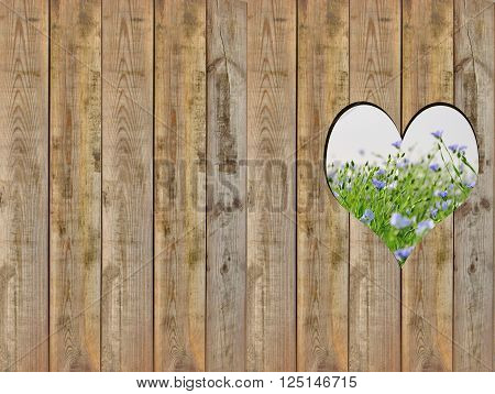 Heart shape in old wooden fence with nature over it