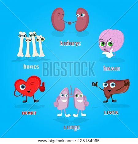 Vital Anatomical Organs Cartoon Characters Set Collection Flat Vector Illustration