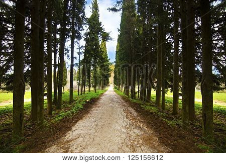abandoned garden of Tatoi Palace, the place where stayed the former greek Royal family in Attica Greece
