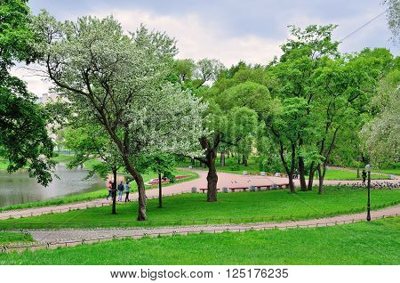 After a long winter spring.Grew grassgreen leavescherry blossom.