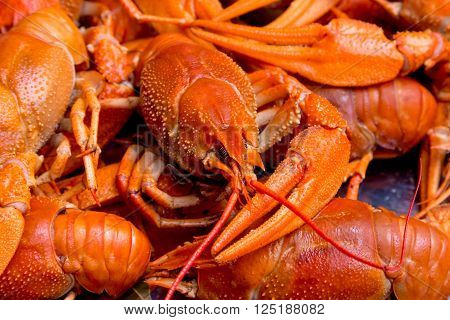 closeup boiled craw fish for background uses
