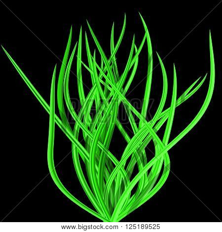 Illustration of abstract bright green tussock on black background