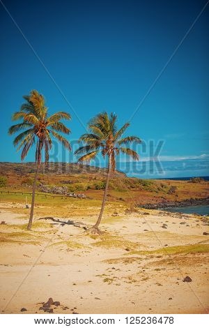 Anakena, A White Coral Sand Beach