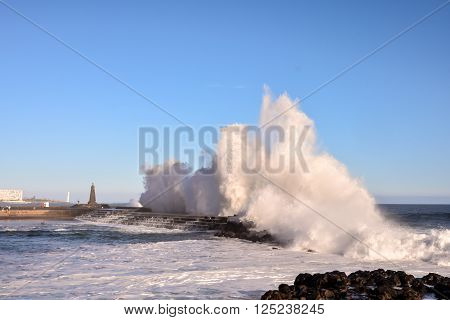 Photo Picture of a BIg Wave in the Ocean