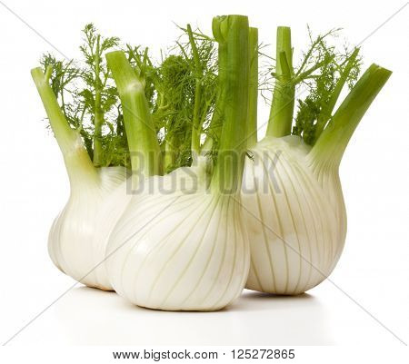 Fresh fennel bulb isolated on white background close up