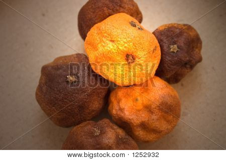 Odwodnione