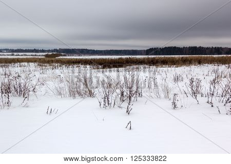 snow covered field under gloomy gray skies