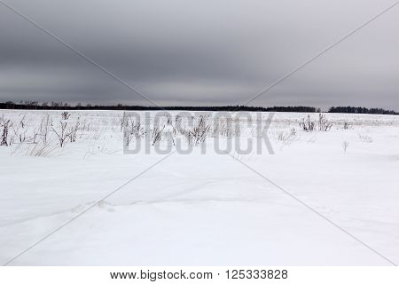 snow covered field under gloomy gray skies