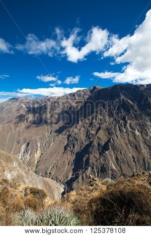 The canyon Colca is the deepest in the world