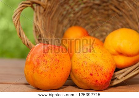 Nectarines Spilled From An Overturned Basket