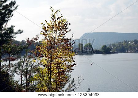 Rough landscape with water in norway during autumn