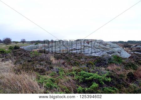rough landscape in sweden at the ocean in autumn