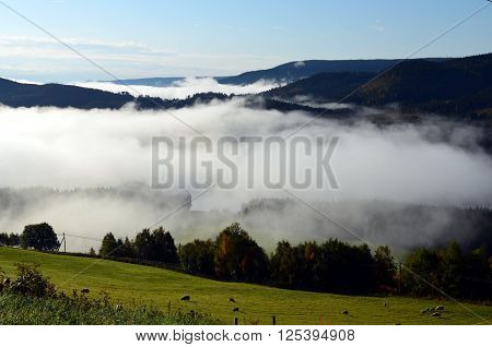 cold morning fog in an autumn landscape norway