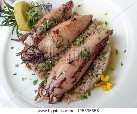 Delicius squid stuffed with rice and lemon
** Note: Visible grain at 100%, best at smaller sizes