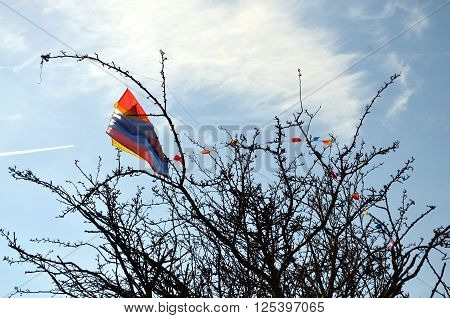 kite trapped in a tree in springtime. blue sky