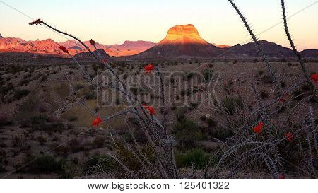 Desert landscape at sunset in Big Bend National Park in Texas