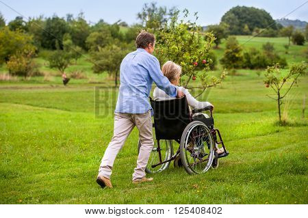 Senior man pushing woman sitting in wheelchair oustide in green autumn nature, rear view